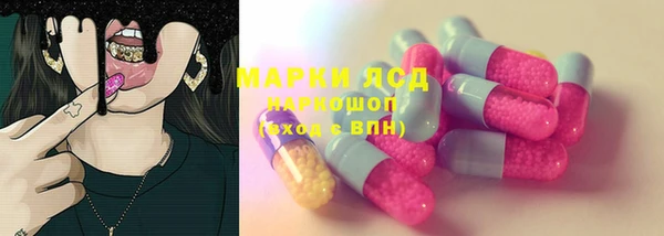 шишки Саяногорск