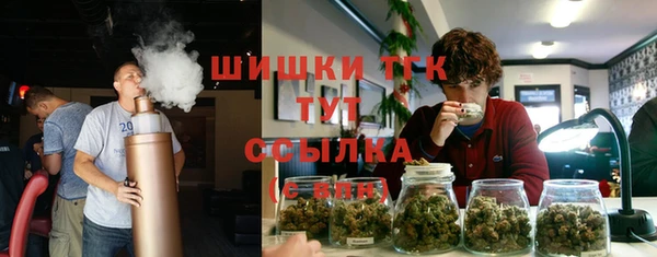 ALPHA-PVP Алексеевка