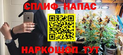эйфоретик Аргун