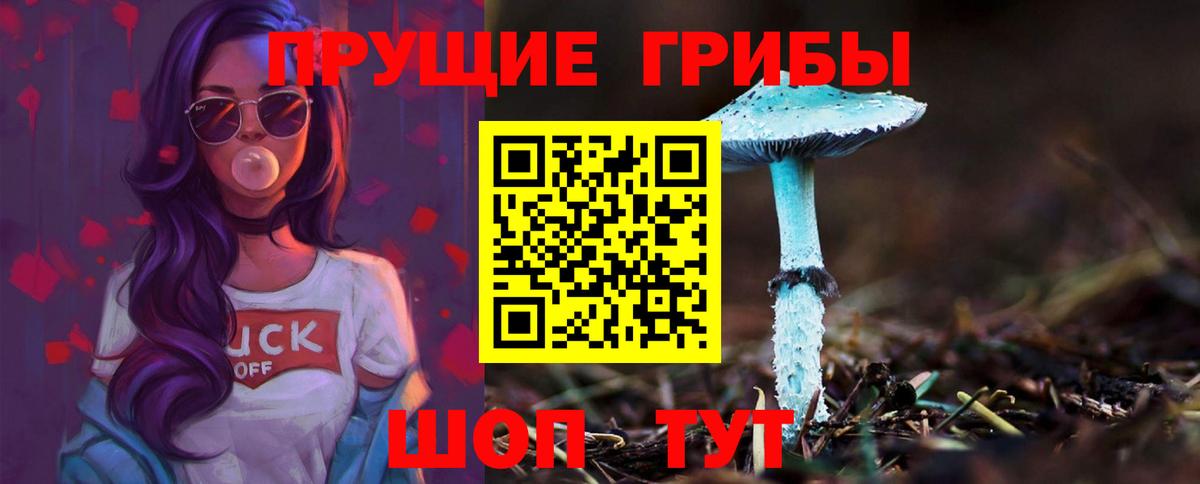 Апрелевка  дарнет шоп  Вход с VPN  Псилоцибиновые грибы Psilocybe  Галлюциногенные грибы MAGIC MUSHROOMS 